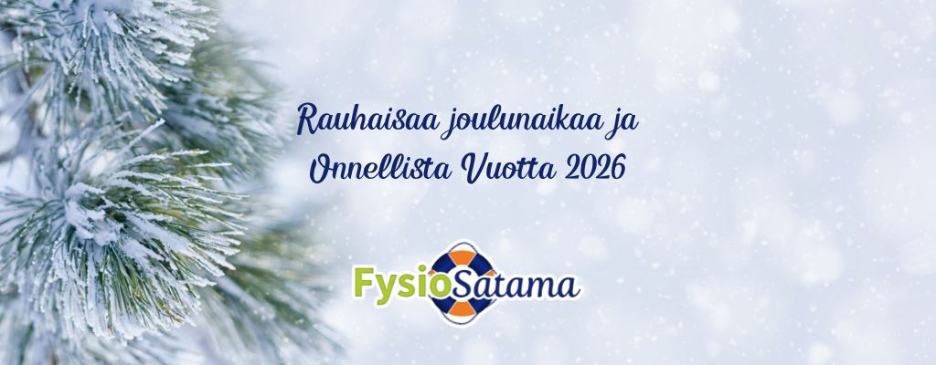 Hyvää Joulua ja Onnellista Uutta Vuotta!
